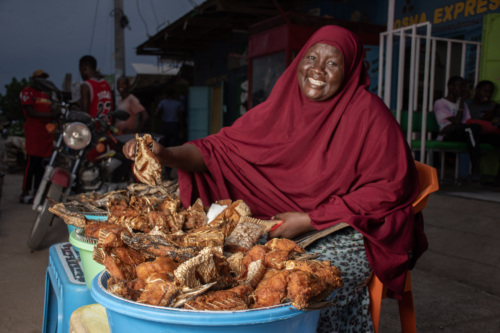A market trader and beneficiary of Adili Solar Hubs, selling their fish at the market
