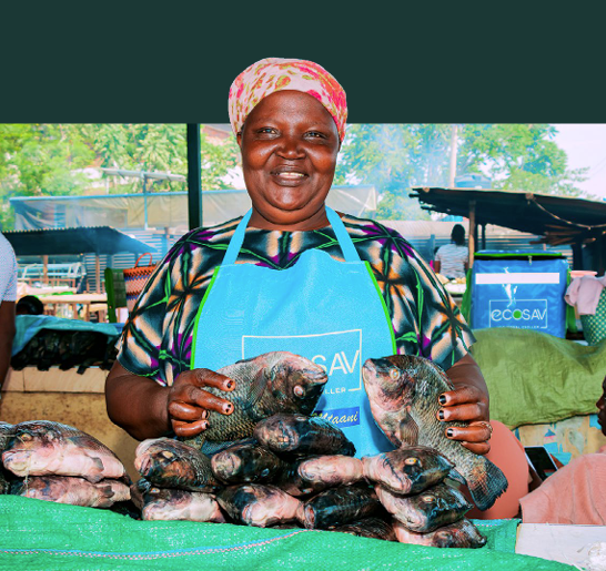 A fish vendor at a local market displays freshly harvested fish for sale. The image highlights livelihoods supported by access to productive energy technologies and improved cold chain solutions that help reduce food loss and support income generation.