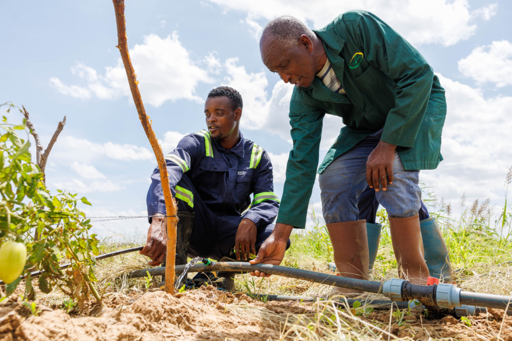 Two smallholder farmers using a solar water pump on a farm in Tanzania, provided as part of a solar irrigation project through Simusolar